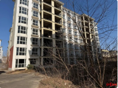 企业2600万元竞得法拍土地使用权和在建房产，被查封